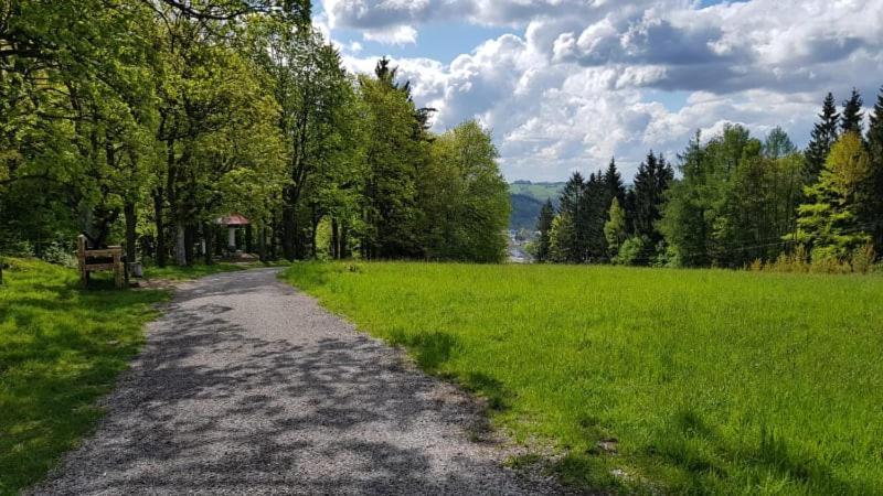 Ubytovani V Soukromi - Apartman Meran Svoboda nad Úpou Exterior foto