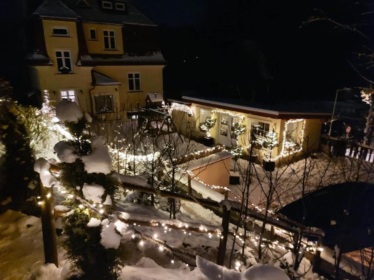 Ubytovani V Soukromi - Apartman Meran Svoboda nad Úpou Exterior foto
